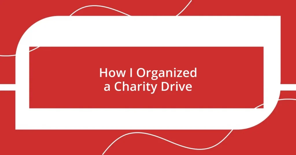 How I Organized a Charity Drive